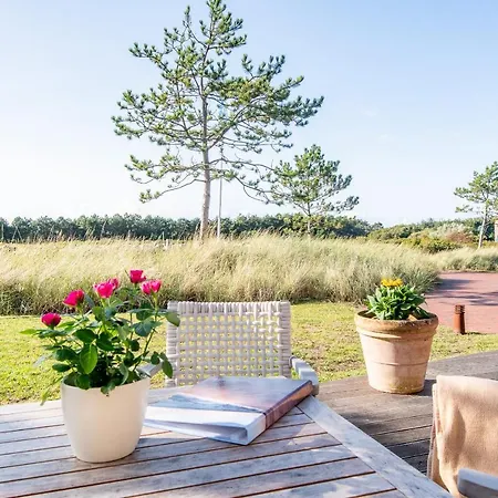 Daire Steger-hues 23